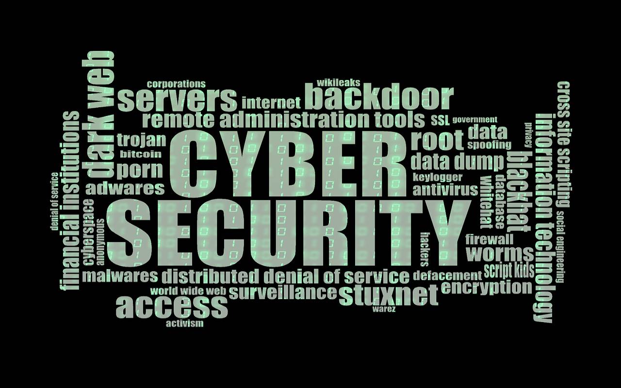 Cyber Security Hacker etici (Pixabay)