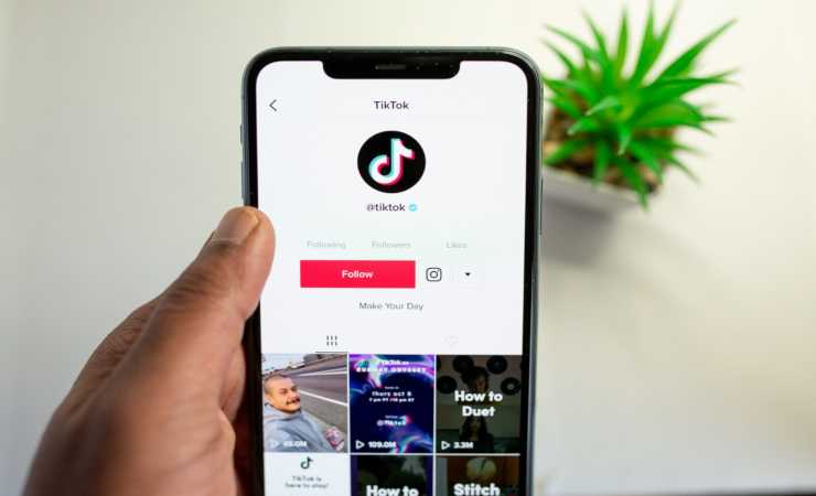 Follow TikTok Download (Pixabay)