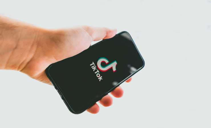 Mano Smartphone TikTok lavoro (Pixabay)