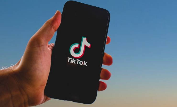 Mano cellulare TIkTok rimuove utenti (PIxabay)