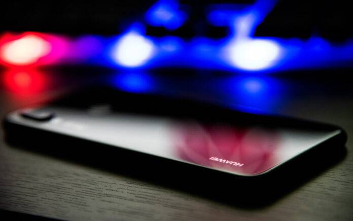 Huawei Seeds for the Future 2.0 (Pixabay) Scocca Huawei Seeds for the Future 2.0 (Pixabay)
