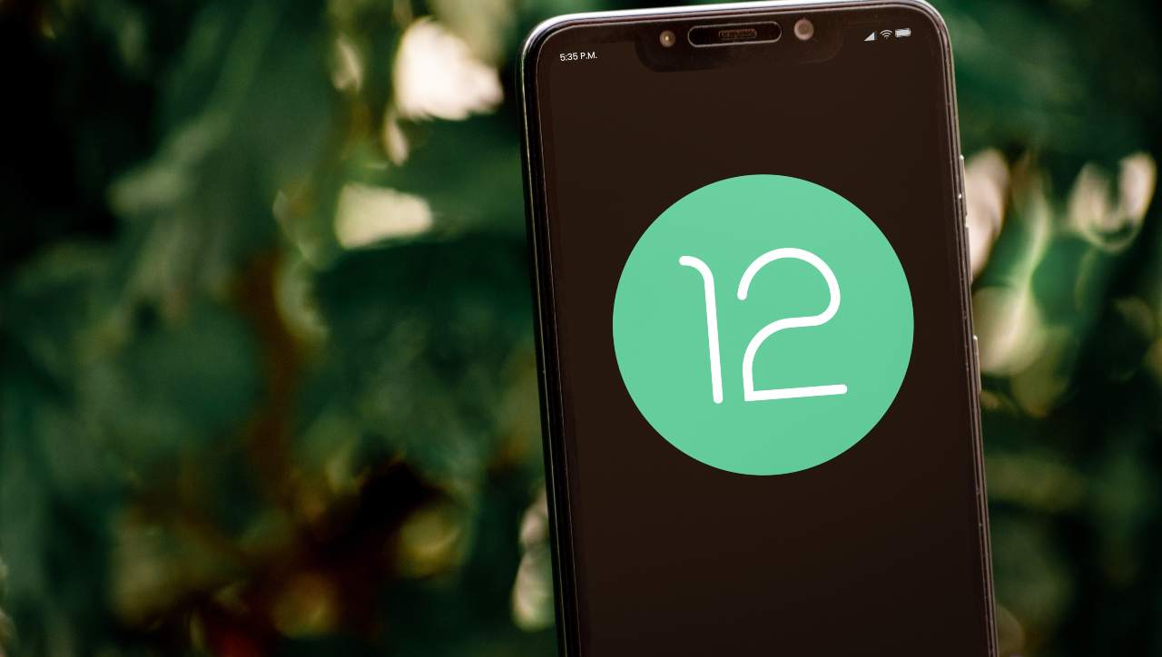 Tema Android 12, lavori in corso su questi dispositivi