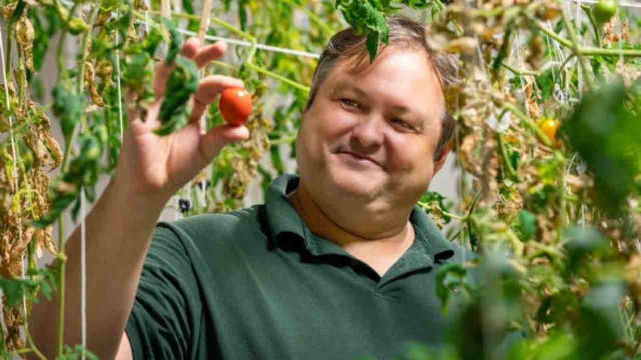 I pomodori di Marte sono diventati una saporita passata