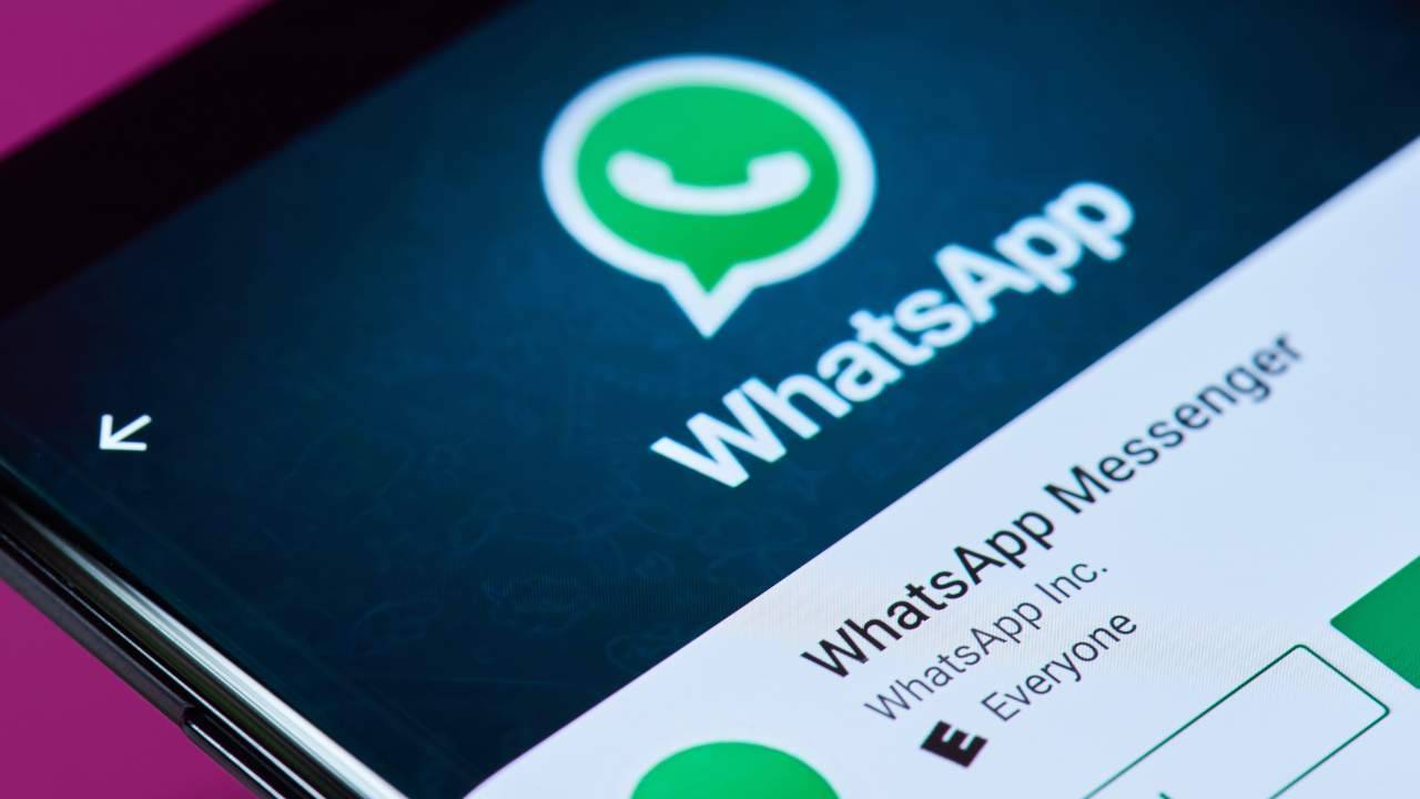 Scatti una foto ma non hai il numero: ecco il trucco WhatsApp per aggiungerlo ai contatti