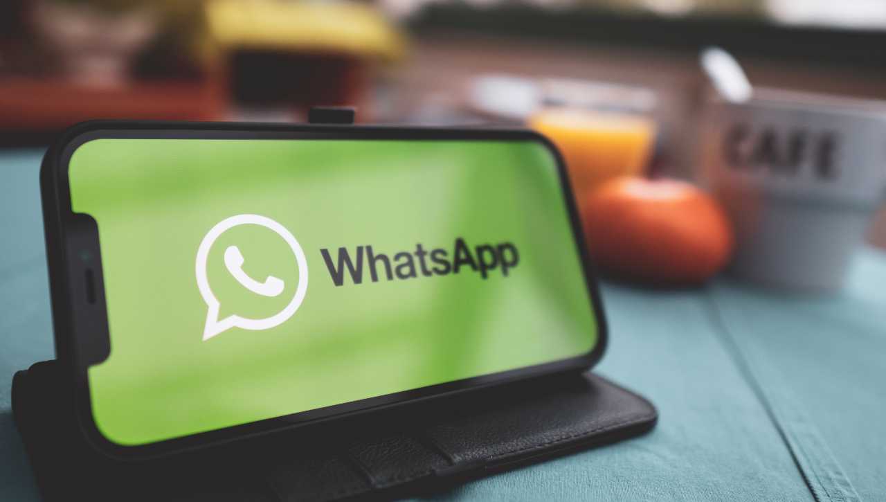 WhatsApp pensa agli utenti Android con una grande novità