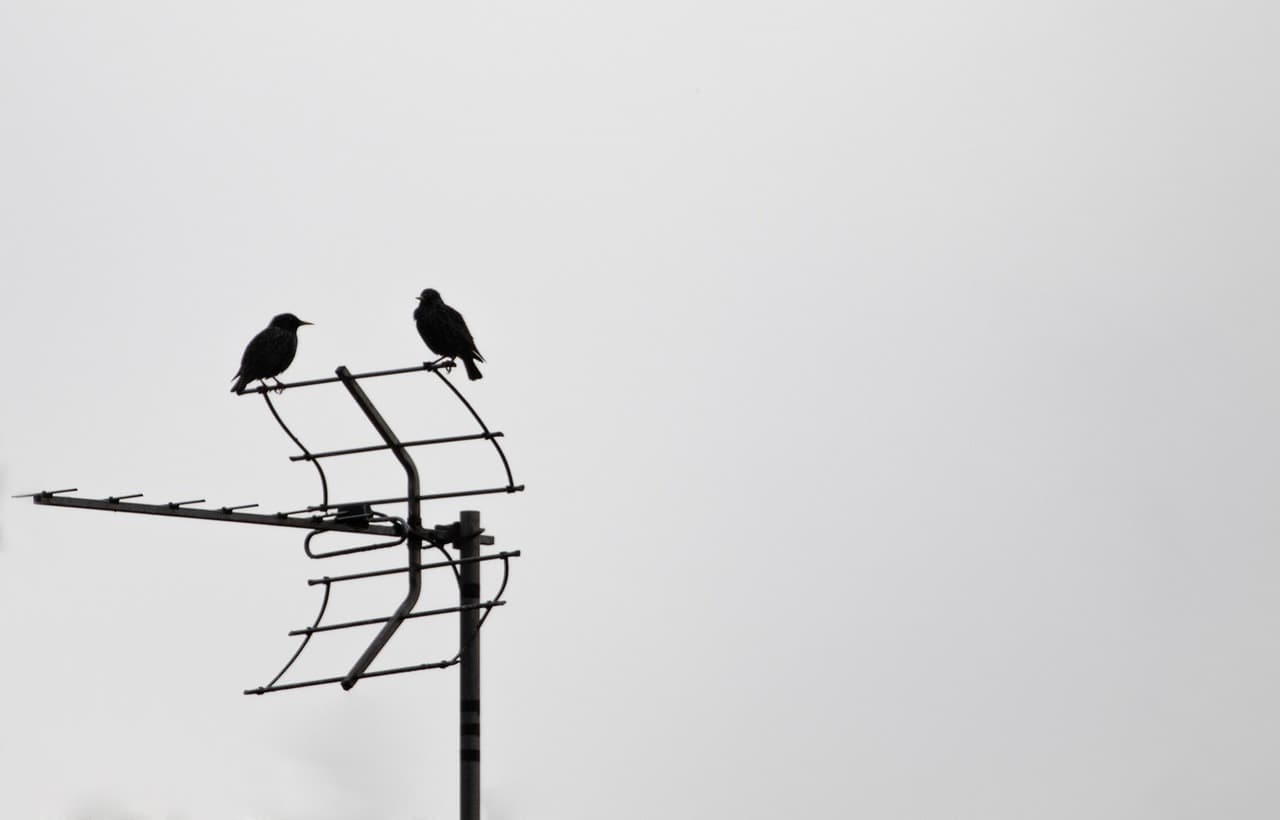 antenna digitale