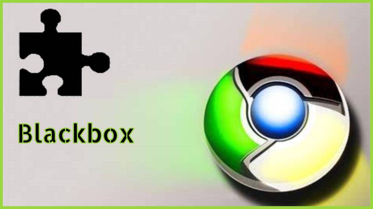 Google Blackbox 