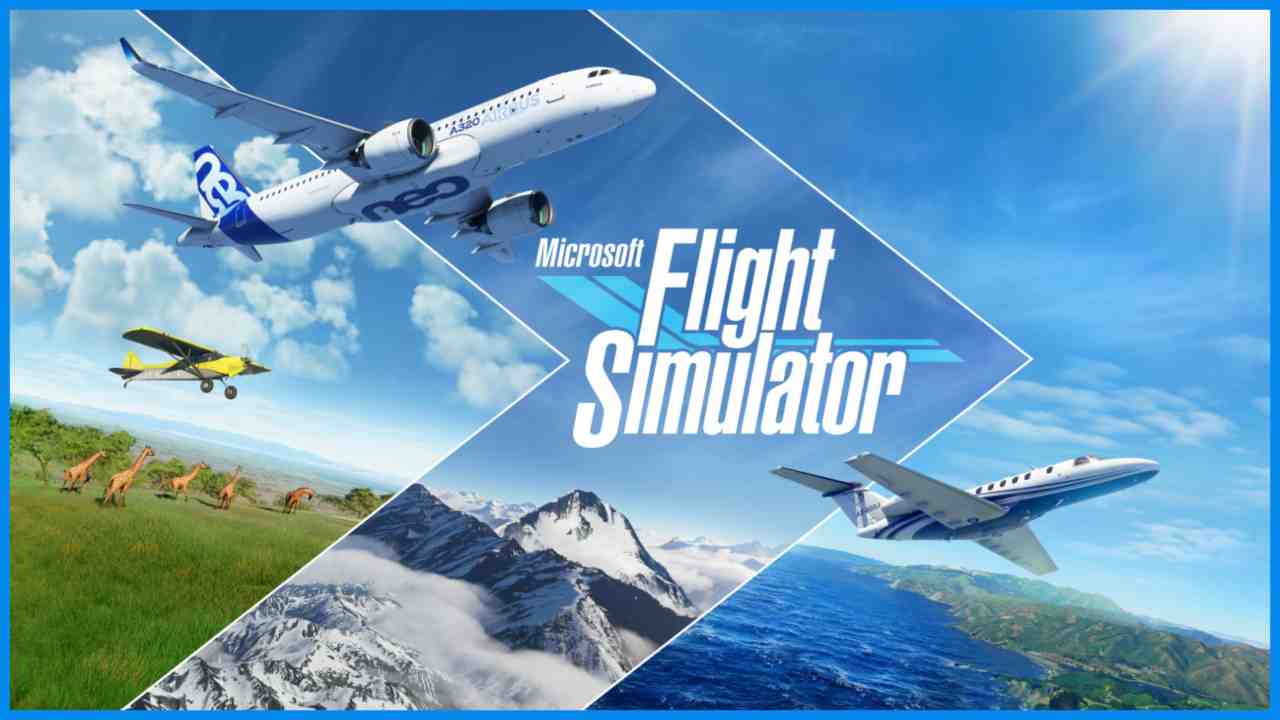 Microsoft Flight Simulator