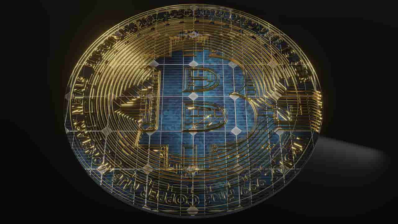 bitcoin gigante