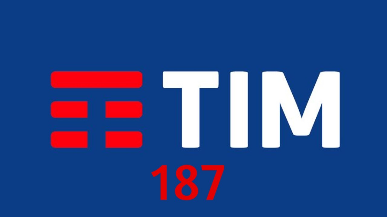 TIM logo 187