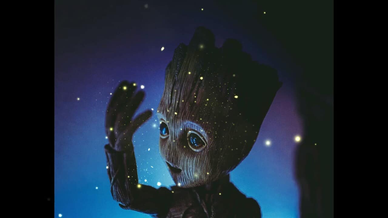 groot e luci