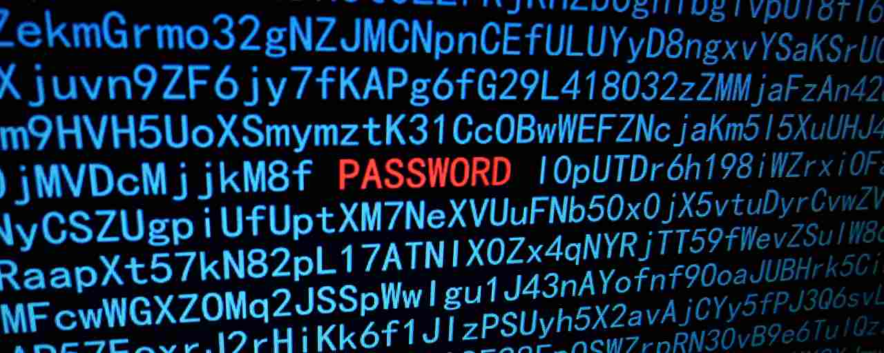 Password Hackerata
