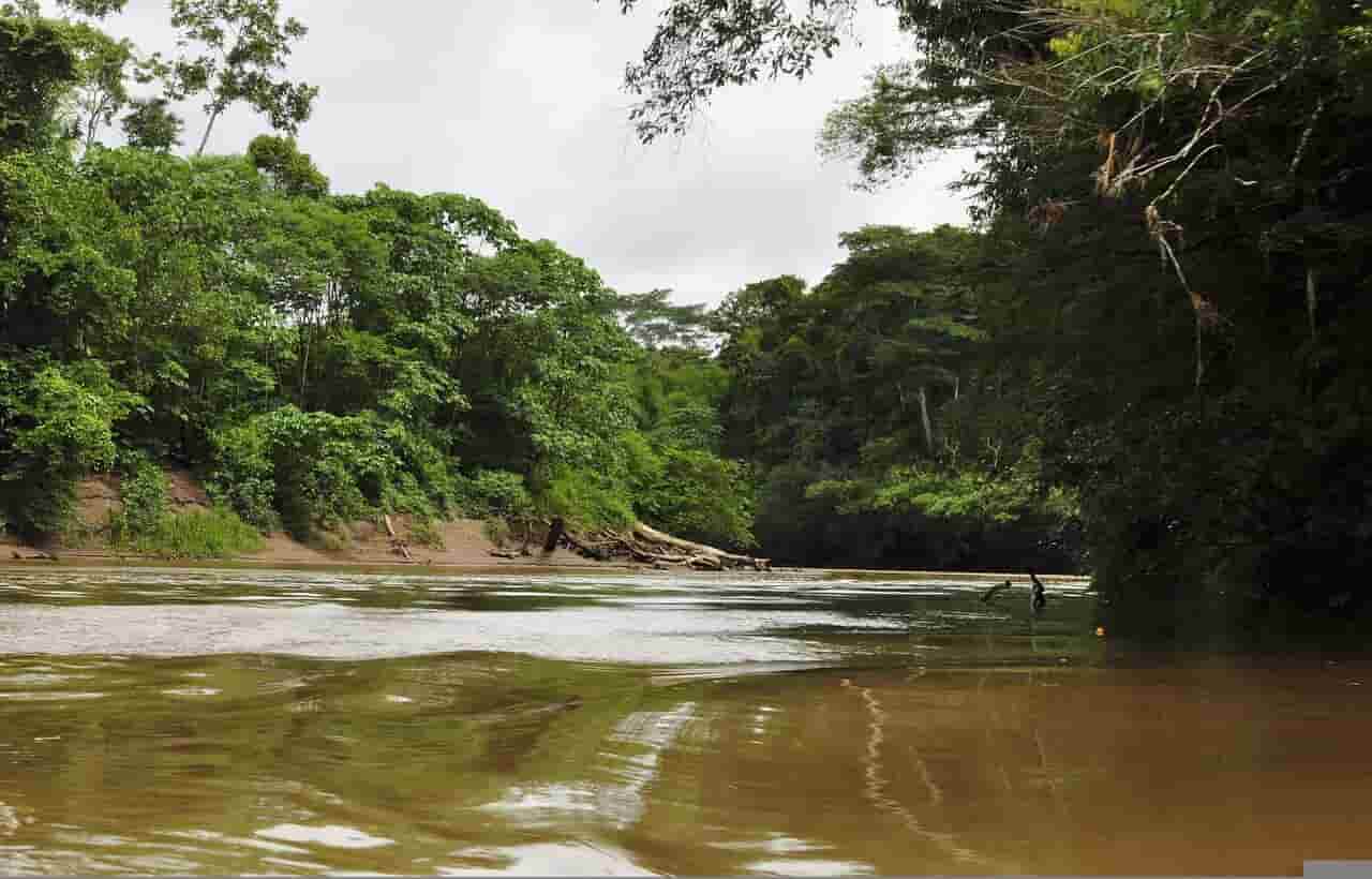 fiume brasile