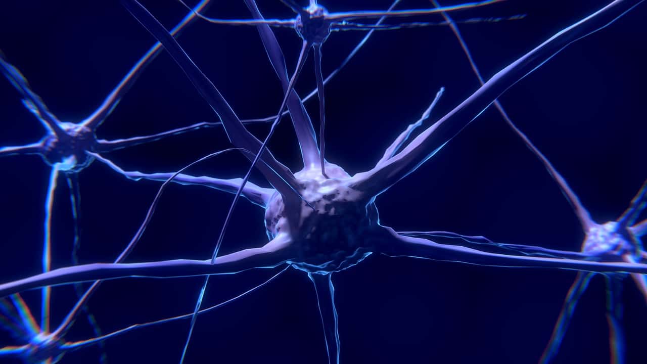neuroni collegati