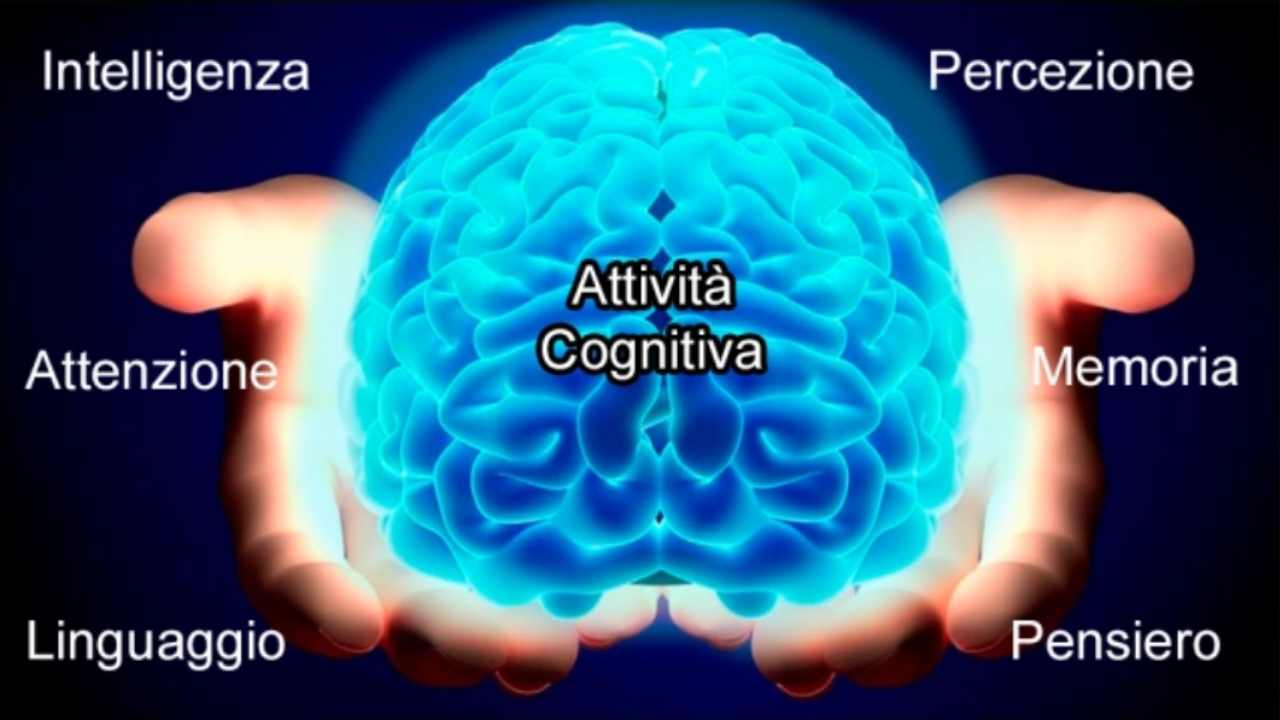 Attività cerebrale cognitiva