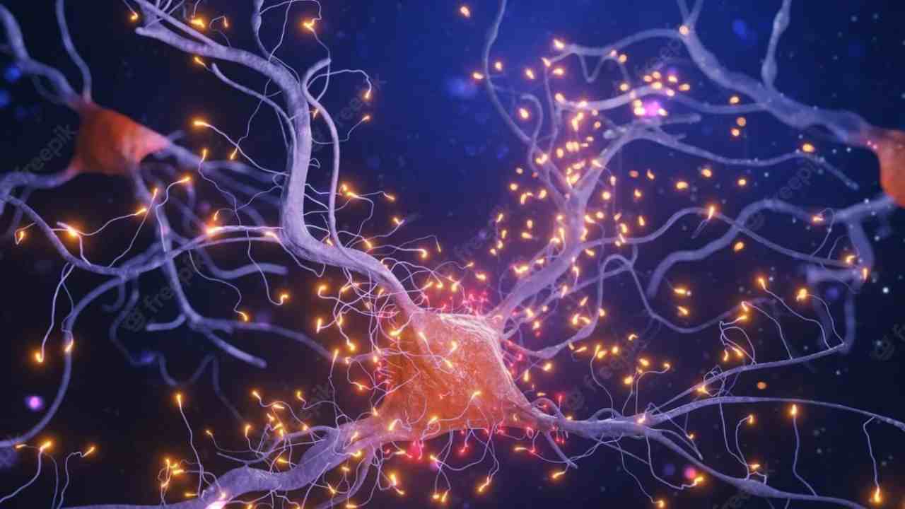Fantascienza o futuro? Neuroni coltivati in provetta "imparano" a giocare ai videogames