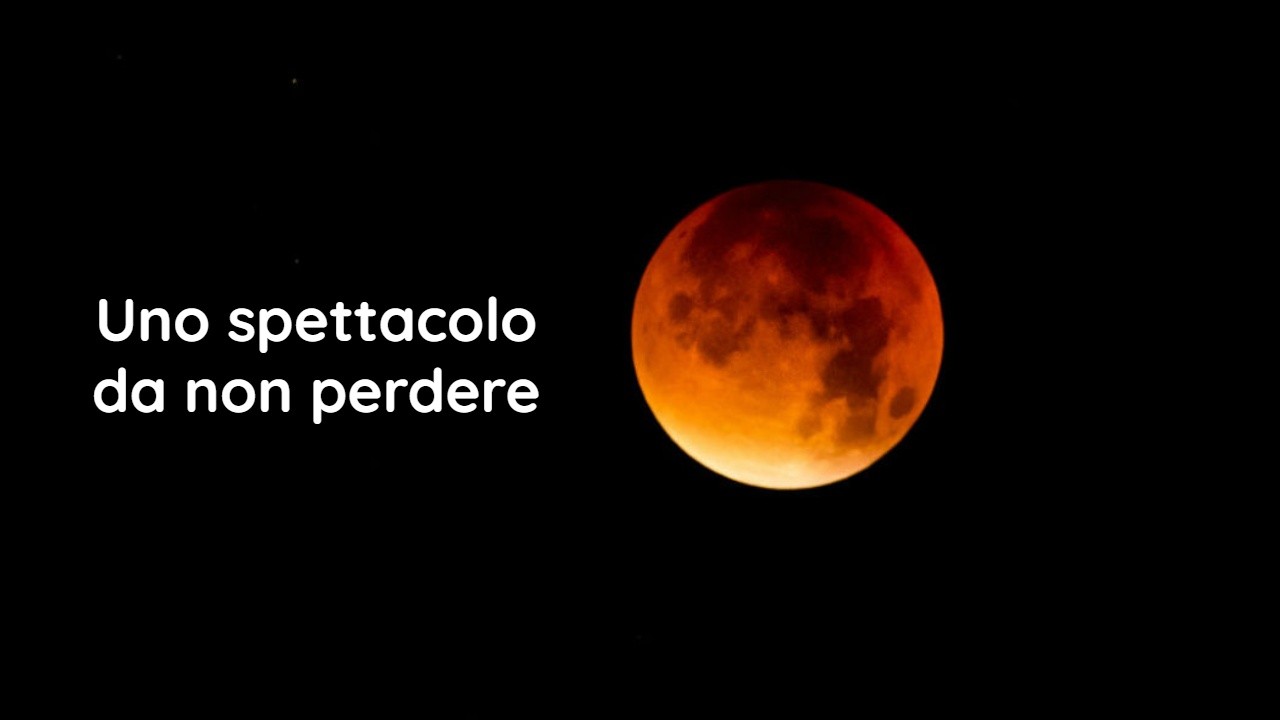 Eclissi Luna Novembre