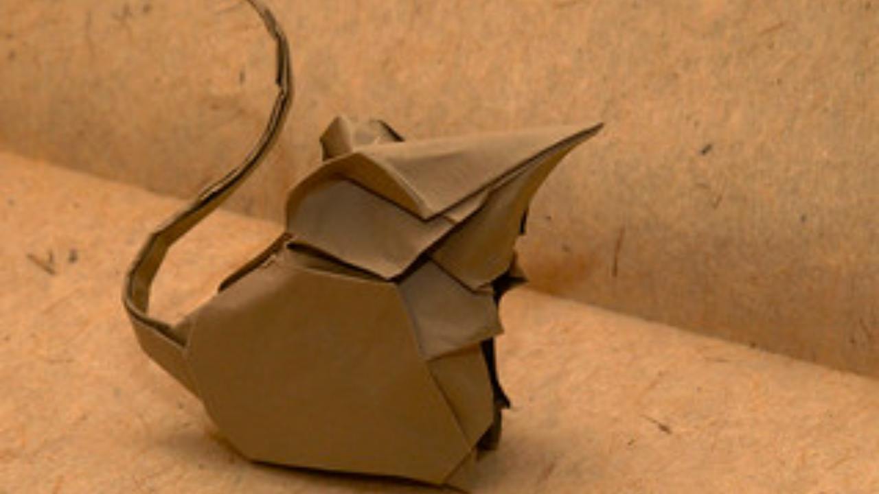 Topo origami