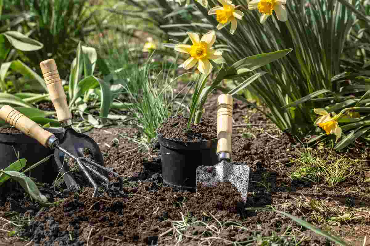 Nuove regole per la pulizia del giardino