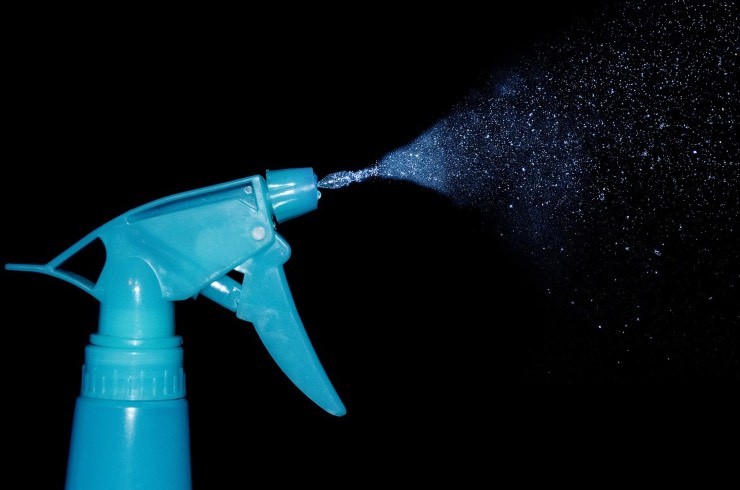 Come eliminare la muffa in casa con uno spray, un metodo semplice ed economico 